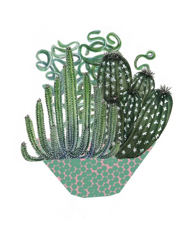 Wall Art Painting id:147751, Name: Cactus Arrangement II, Artist: Wang, Melissa