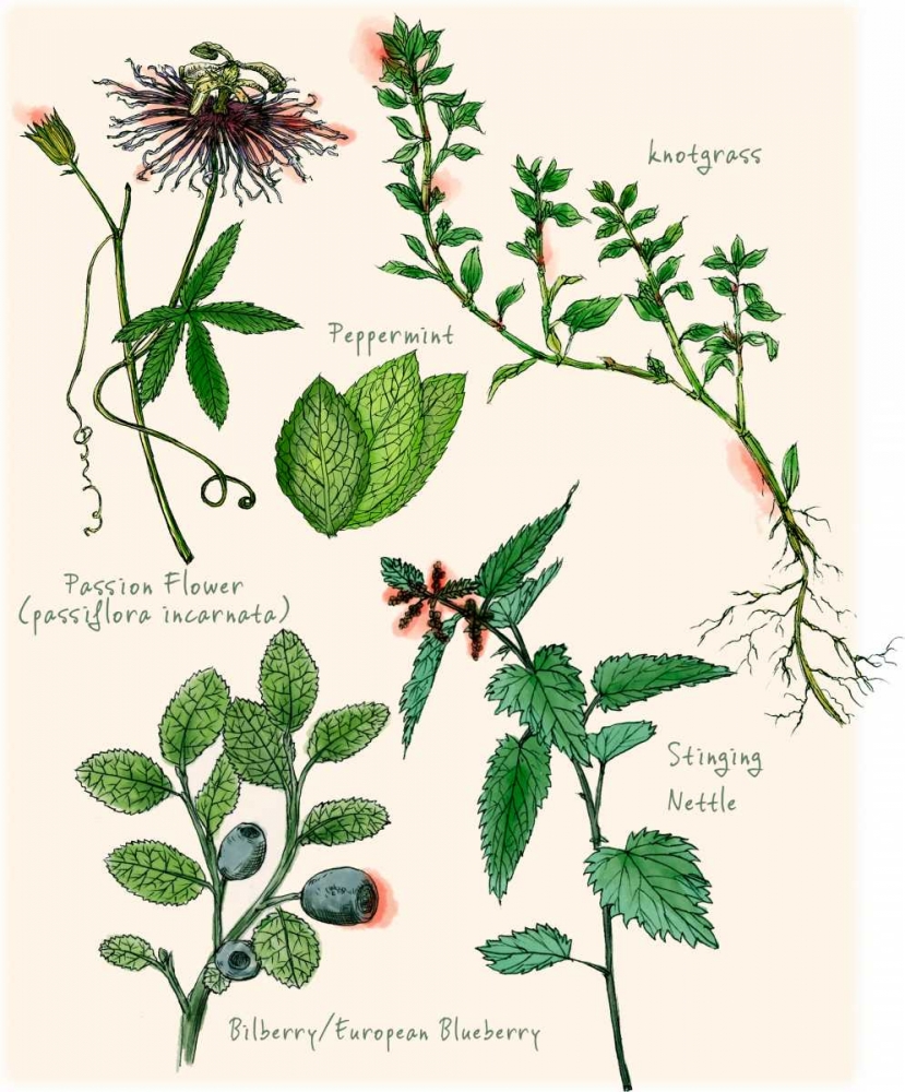 Wall Art Painting id:147752, Name: Sweet Assemblage I, Artist: Wang, Melissa