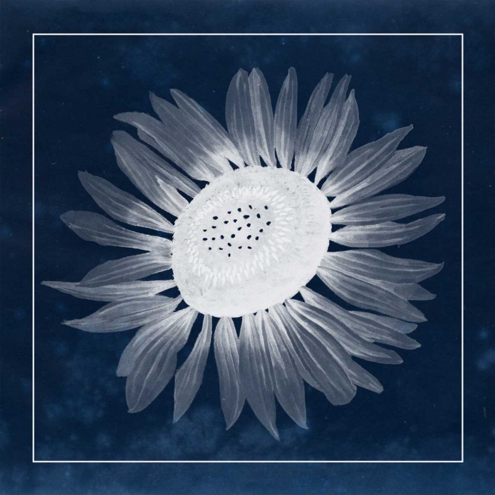 Wall art: Moon Flower II, by Popp, Grace