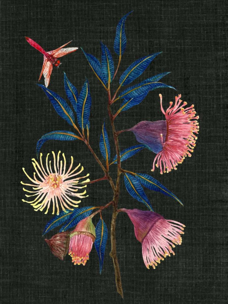 Wall Art Painting id:148104, Name: Gum Nuts I, Artist: Wang, Melissa