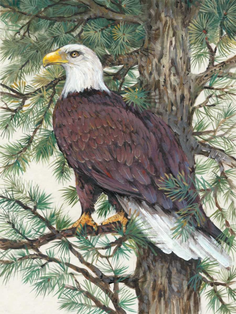 Art Print: Eagle in the Pine