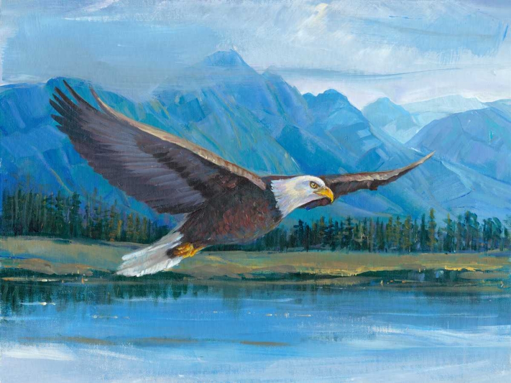 Art Print: Eagle Soaring