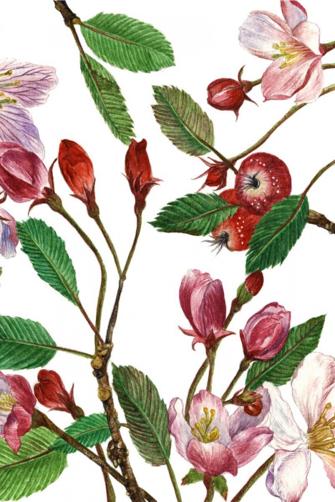 Wall Art Painting id:148143, Name: Malus Melliana II, Artist: Wang, Melissa