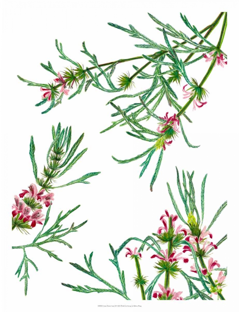 Wall Art Painting id:148149, Name: Asian Flower Array II, Artist: Wang, Melissa