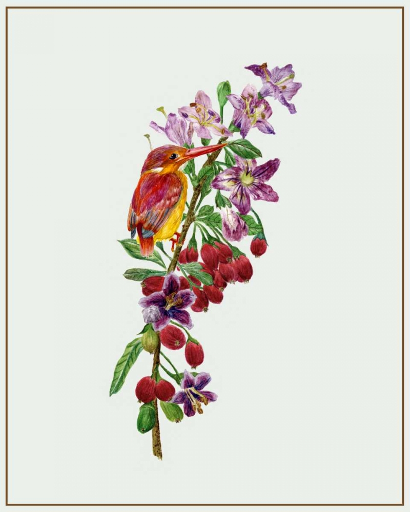 Art Print: Lycium Barbarum II