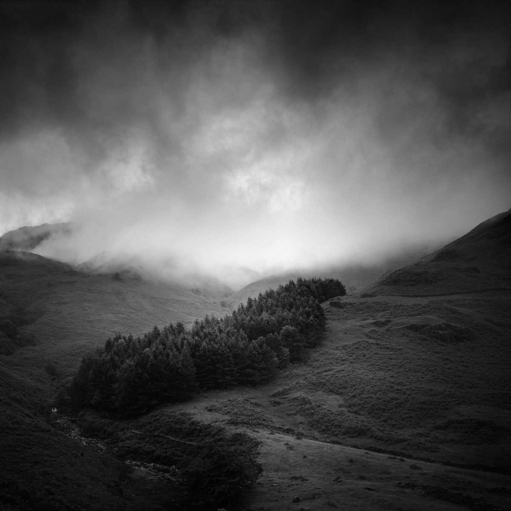 Art Print: Misty Weather I