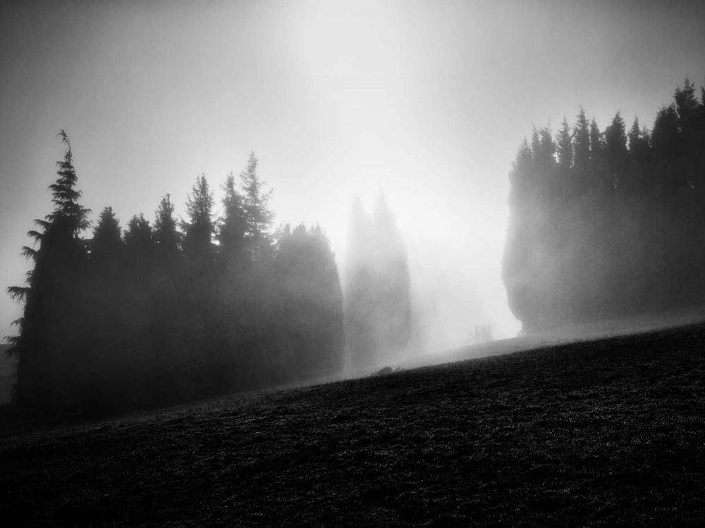 Art Print: Misty Weather III