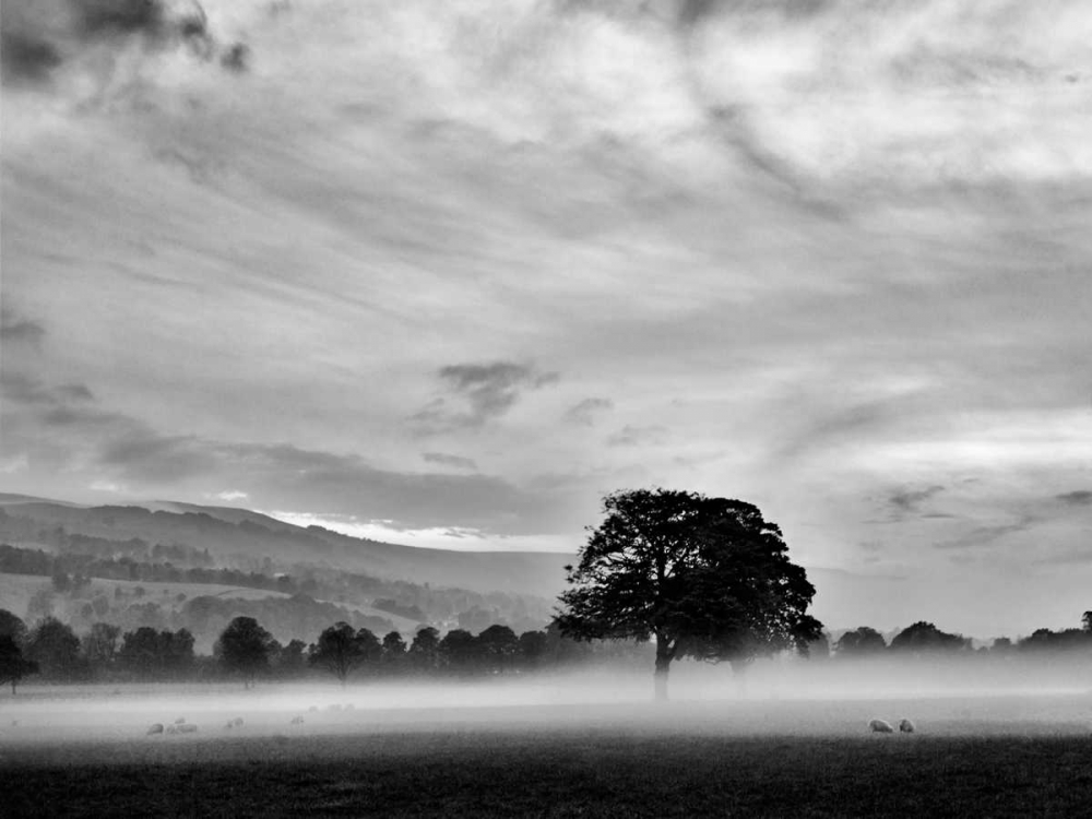 Art Print: Misty Weather IV