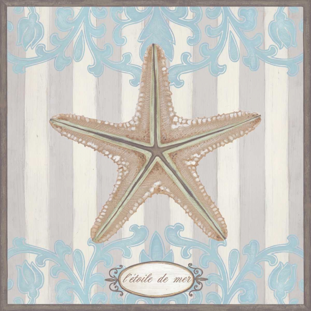 Wall Art Painting id:38118, Name: Riviera Shell III, Artist: Vess, June Erica