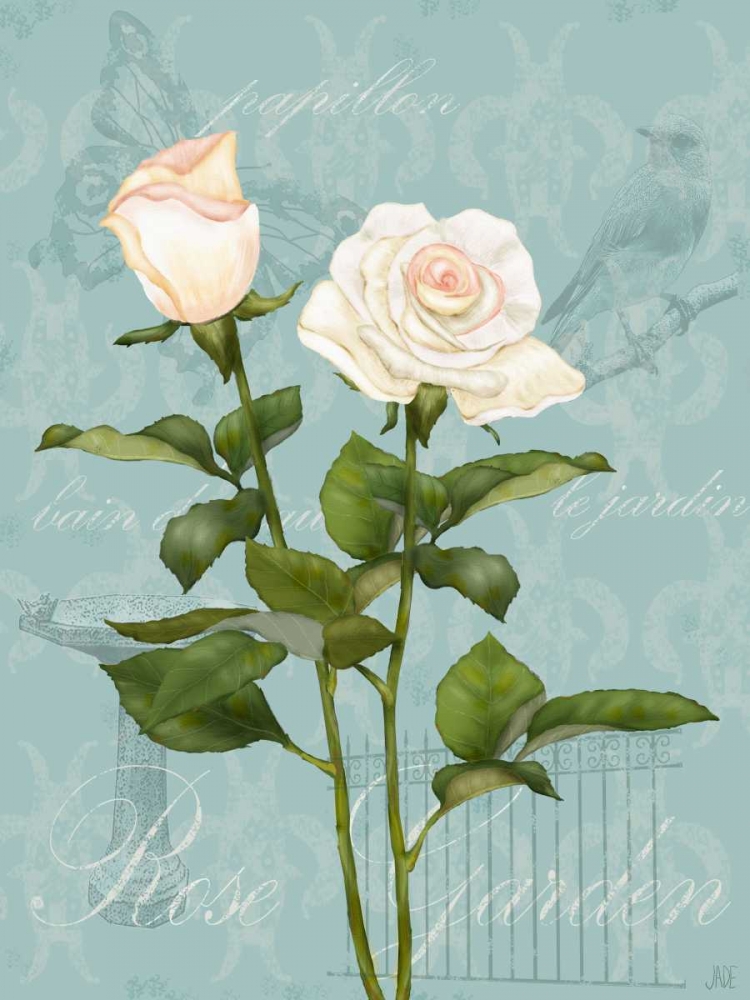 Wall Art Painting id:50821, Name: Cream Rose II, Artist: Reynolds, Jade