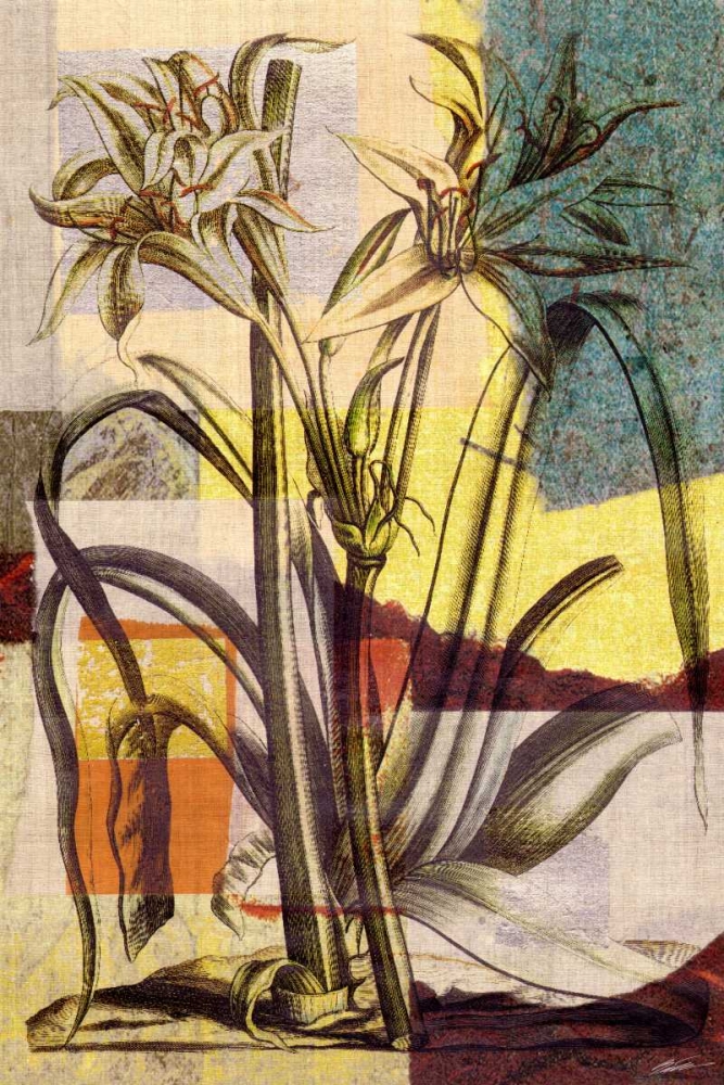 Art Print: Lily Mix I
