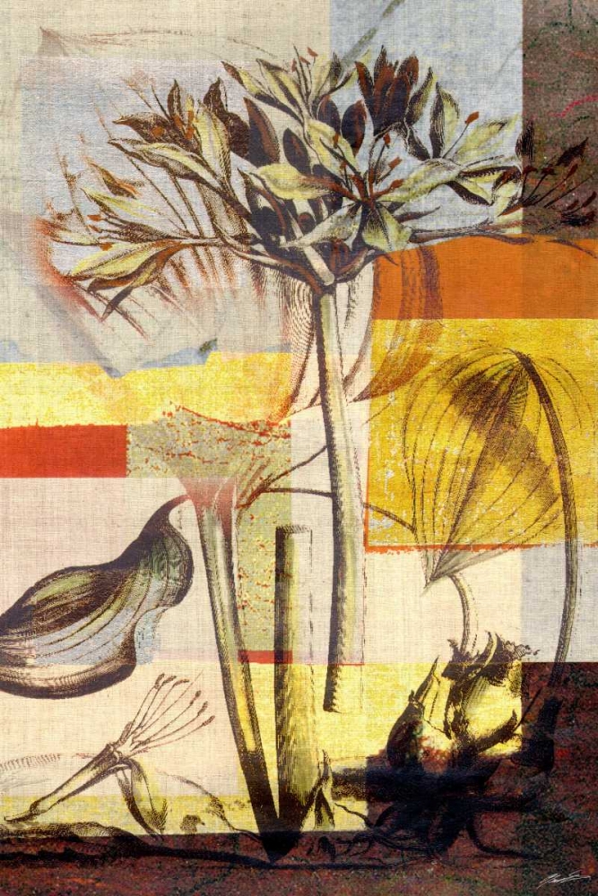 Art Print: Lily Mix II