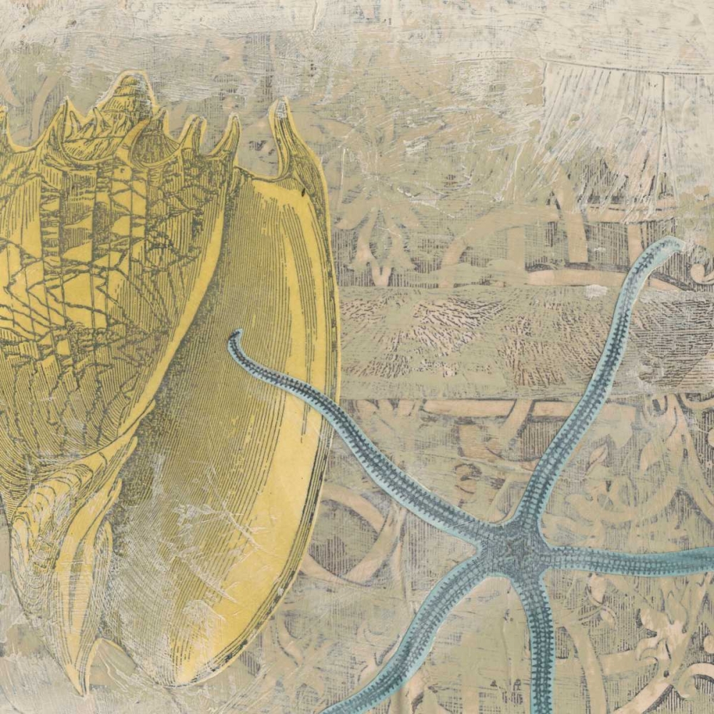 Art Print: Coastal Cameo VII