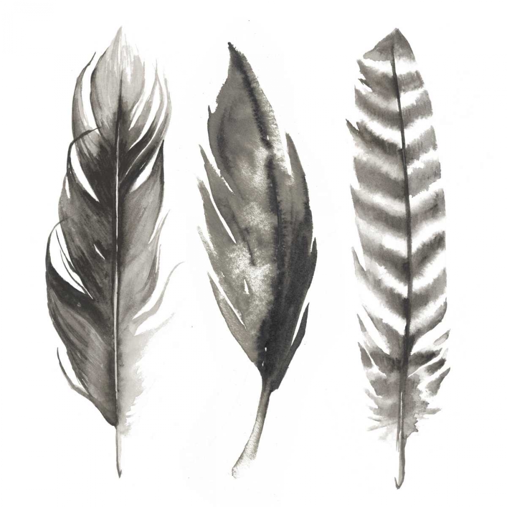Wall art: Watercolor Feathers I, by Popp, Grace