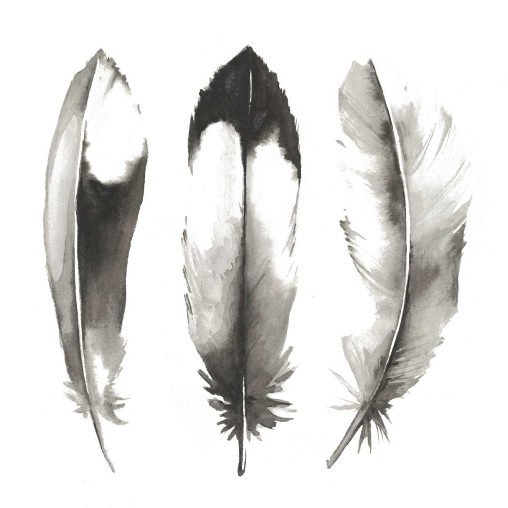 Wall Art Painting id:60769, Name: Watercolor Feathers II, Artist: Popp, Grace