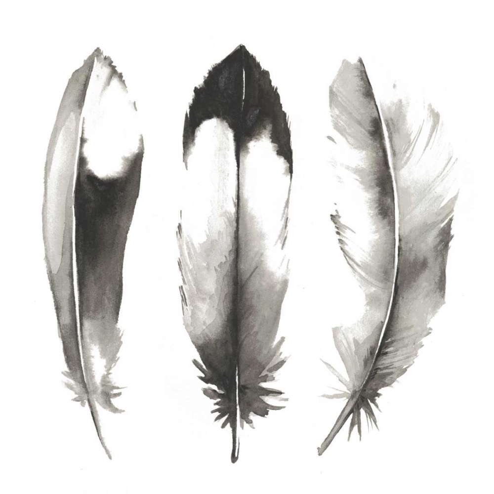Wall art: Watercolor Feathers II, by Popp, Grace