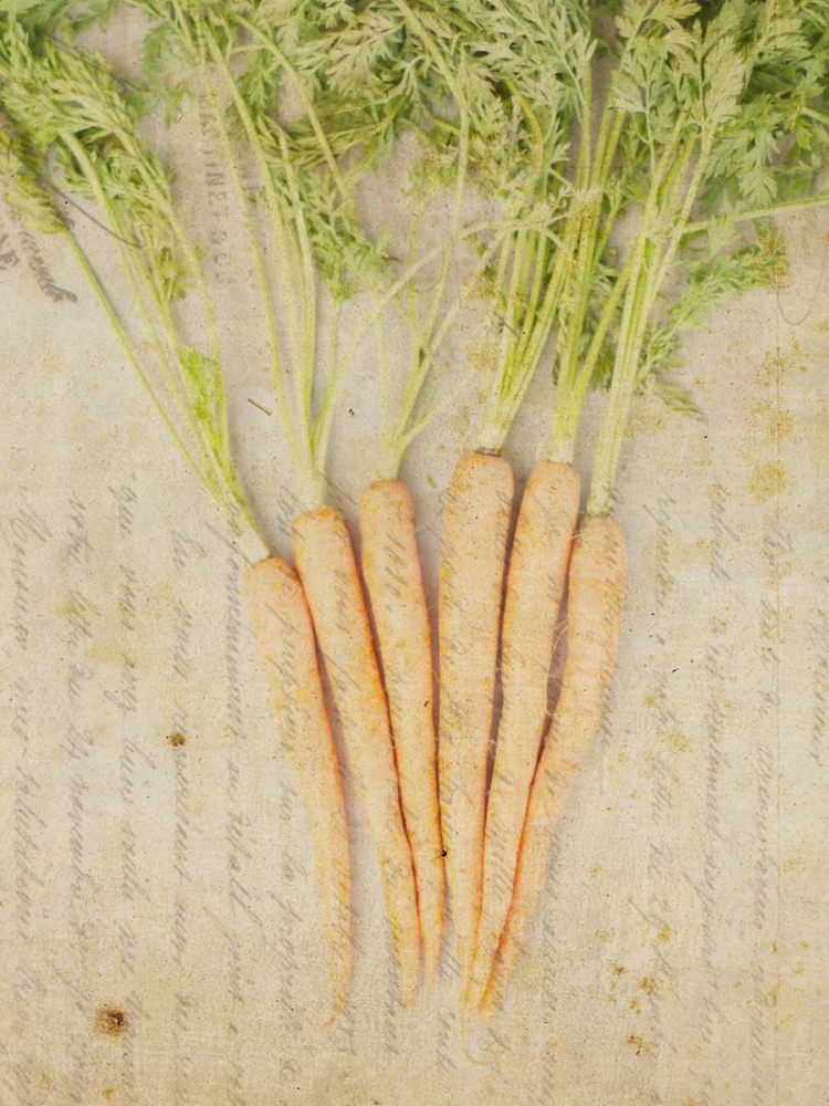 Art Print: Herb Still Life III