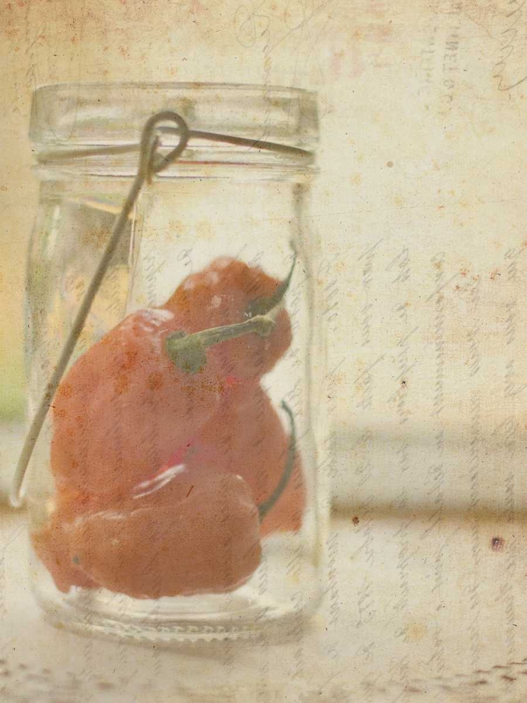 Art Print: Herb Still Life V