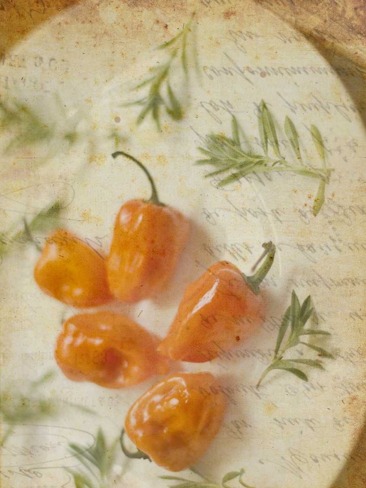 Art Print: Herb Still Life VI