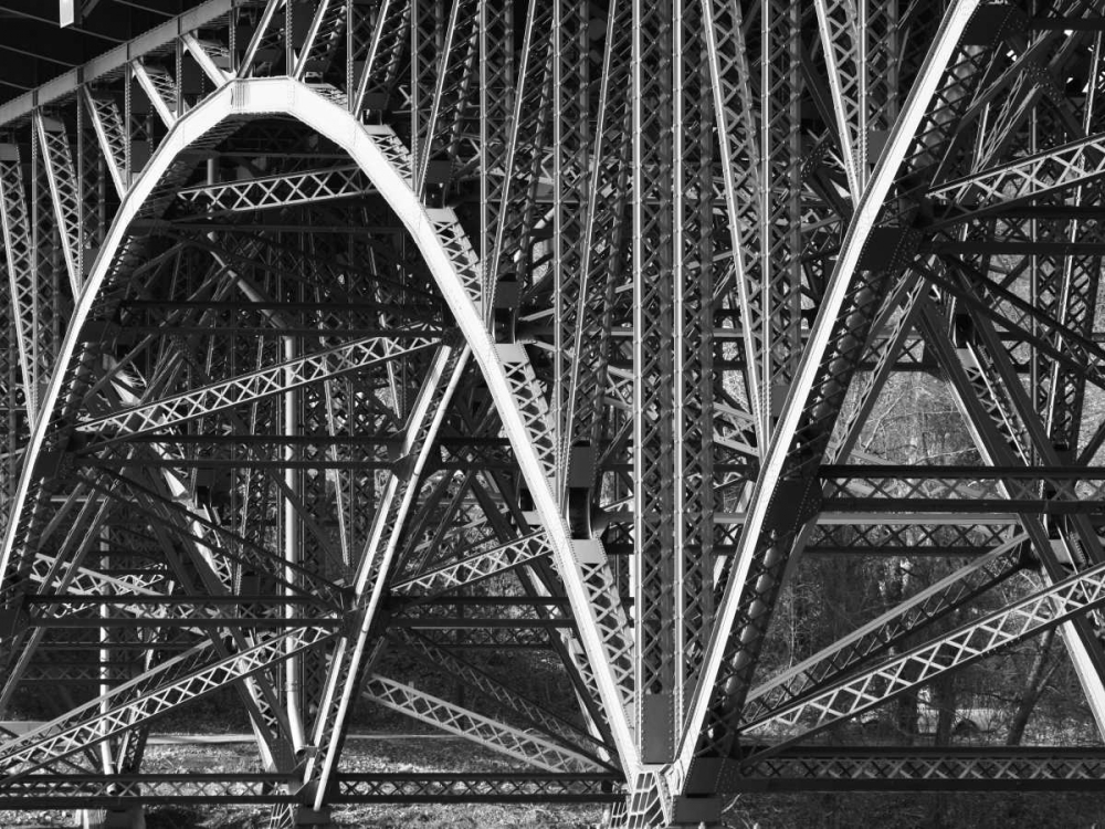 Art Print: Structural Details IX