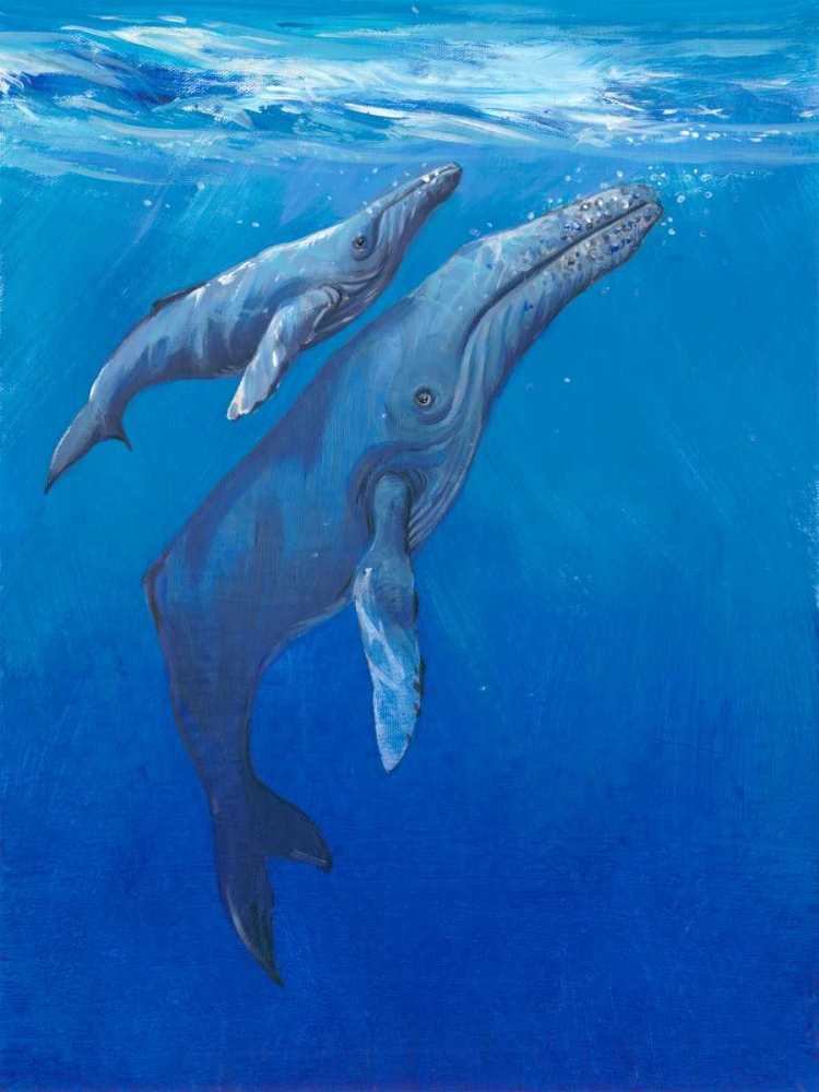 Wall Art Painting id:68267, Name: Under Sea Whales I, Artist: OToole, Tim
