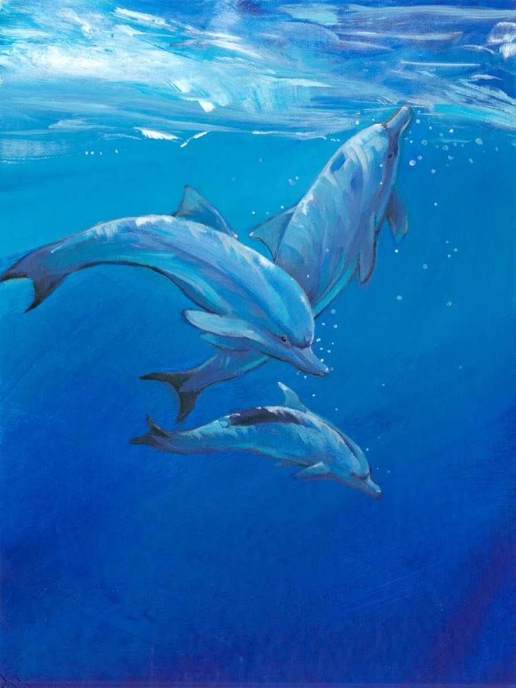 Wall Art Painting id:68269, Name: Under Sea Dolphins, Artist: OToole, Tim