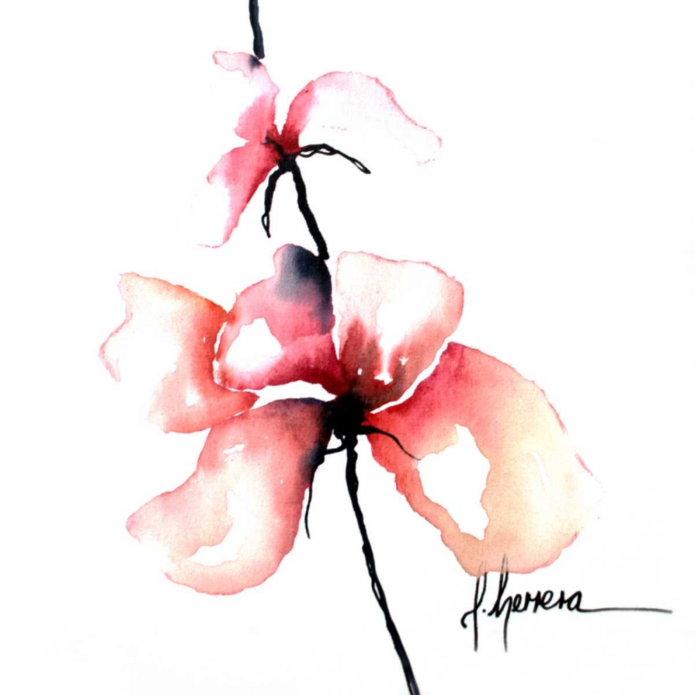 Art Print: Bold Floral I