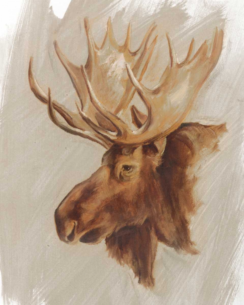 Wall Art Painting id:154955, Name: Western American Animal Study II, Artist: Harper, Ethan