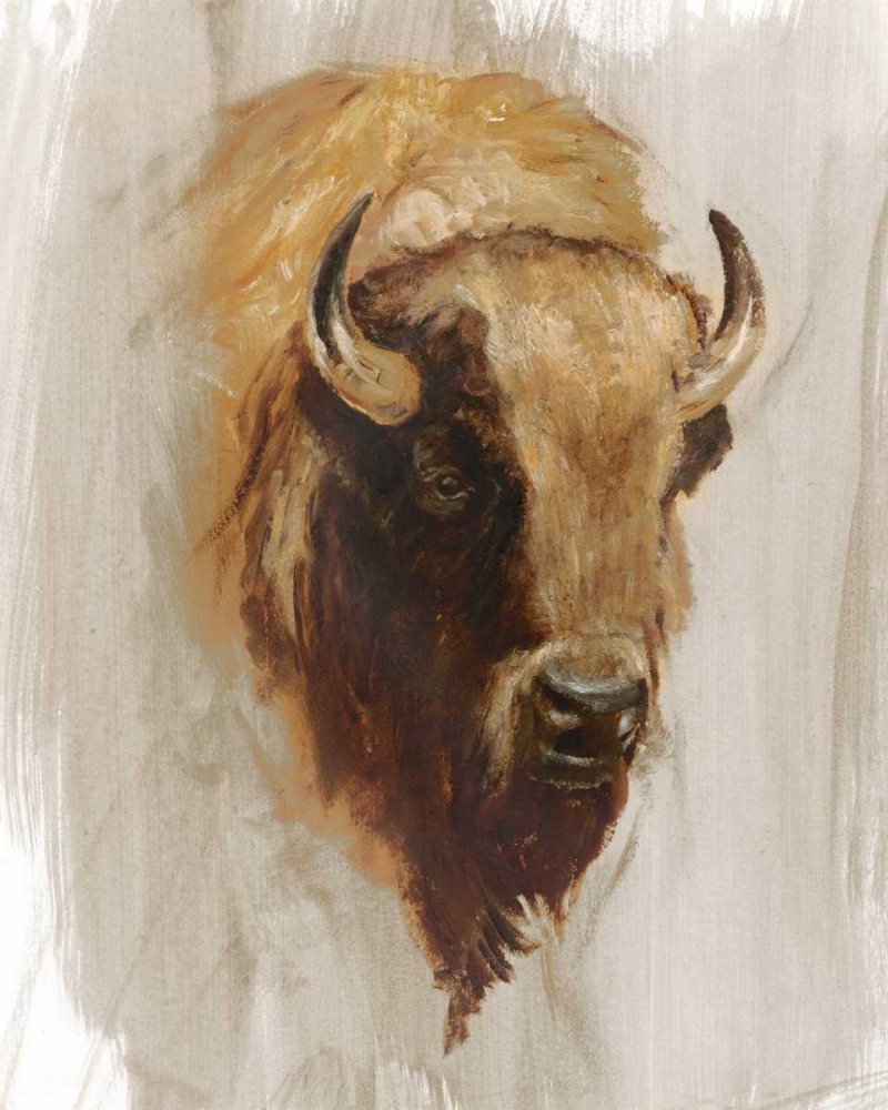Wall Art Painting id:154956, Name: Western American Animal Study III, Artist: Harper, Ethan