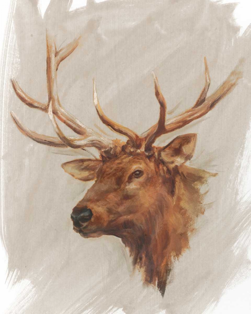 Wall Art Painting id:154957, Name: Western American Animal Study IV, Artist: Harper, Ethan