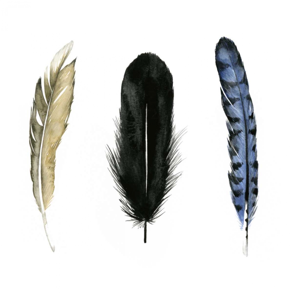 Wall art: Soft Feathers I, by Popp, Grace
