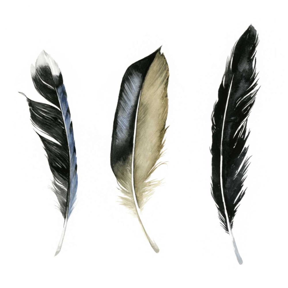 Wall art: Soft Feathers II, by Popp, Grace