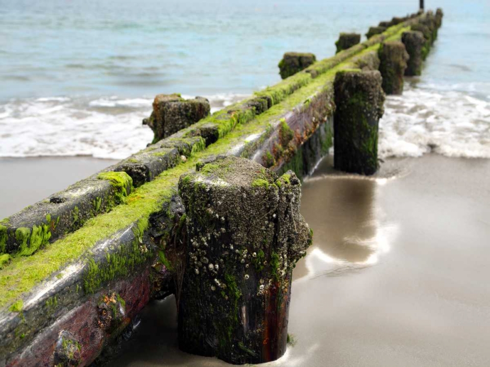 Art Print: Scene Along the Water V