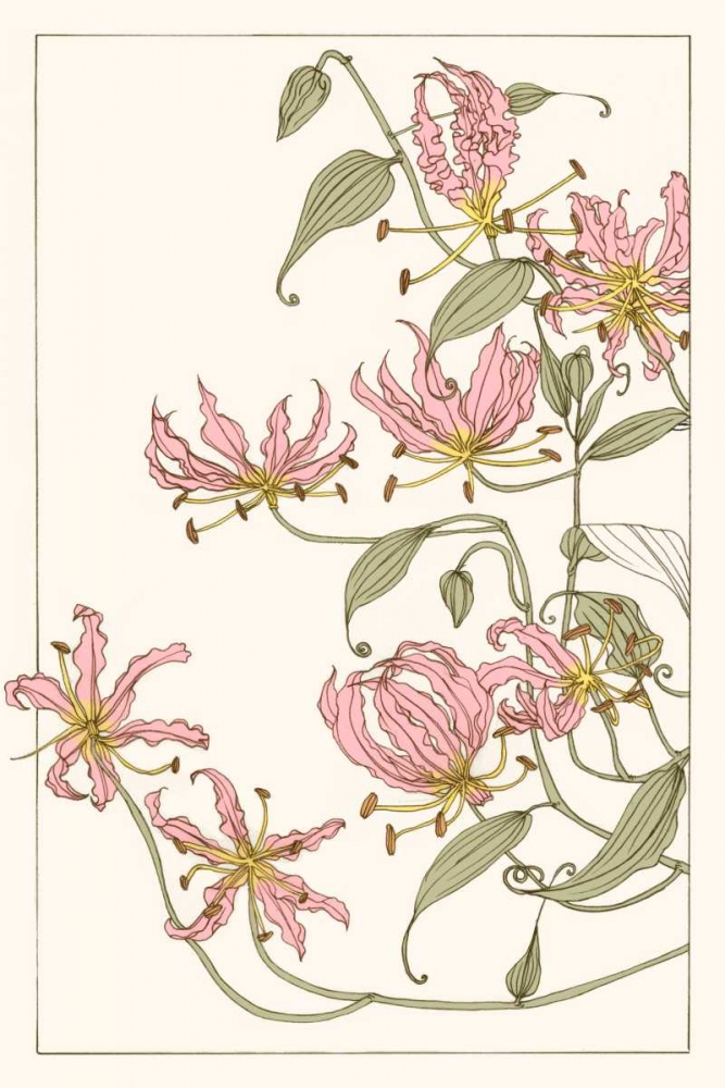 Wall art: Botanical Gloriosa Lily I, by Wang, Melissa