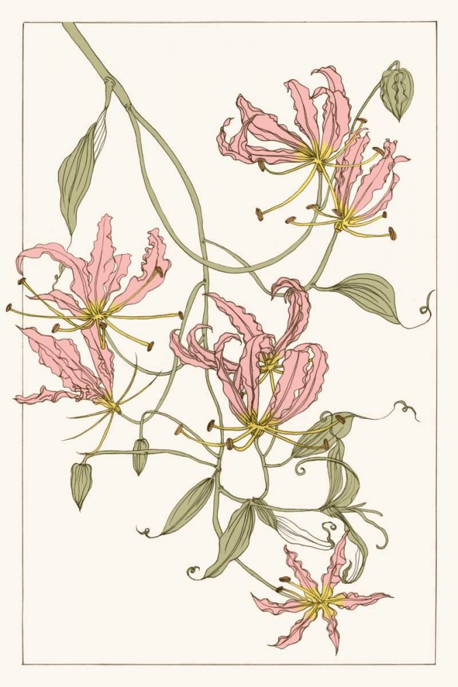Wall Art Painting id:155683, Name: Botanical Gloriosa Lily II, Artist: Wang, Melissa