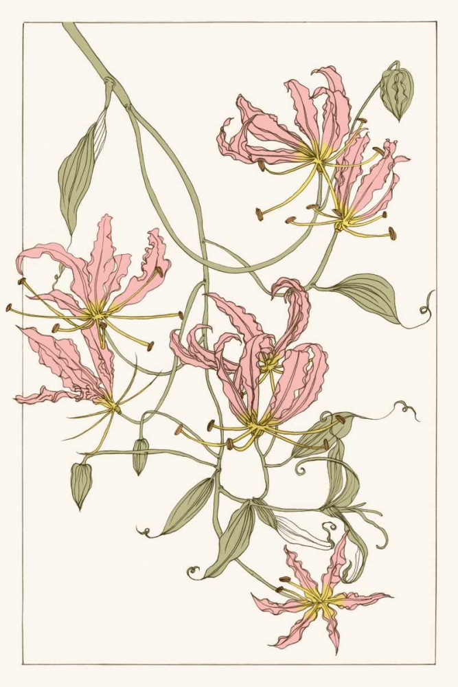 Wall art: Botanical Gloriosa Lily II, by Wang, Melissa