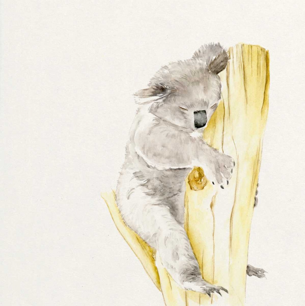 Art Print: Baby Koala I