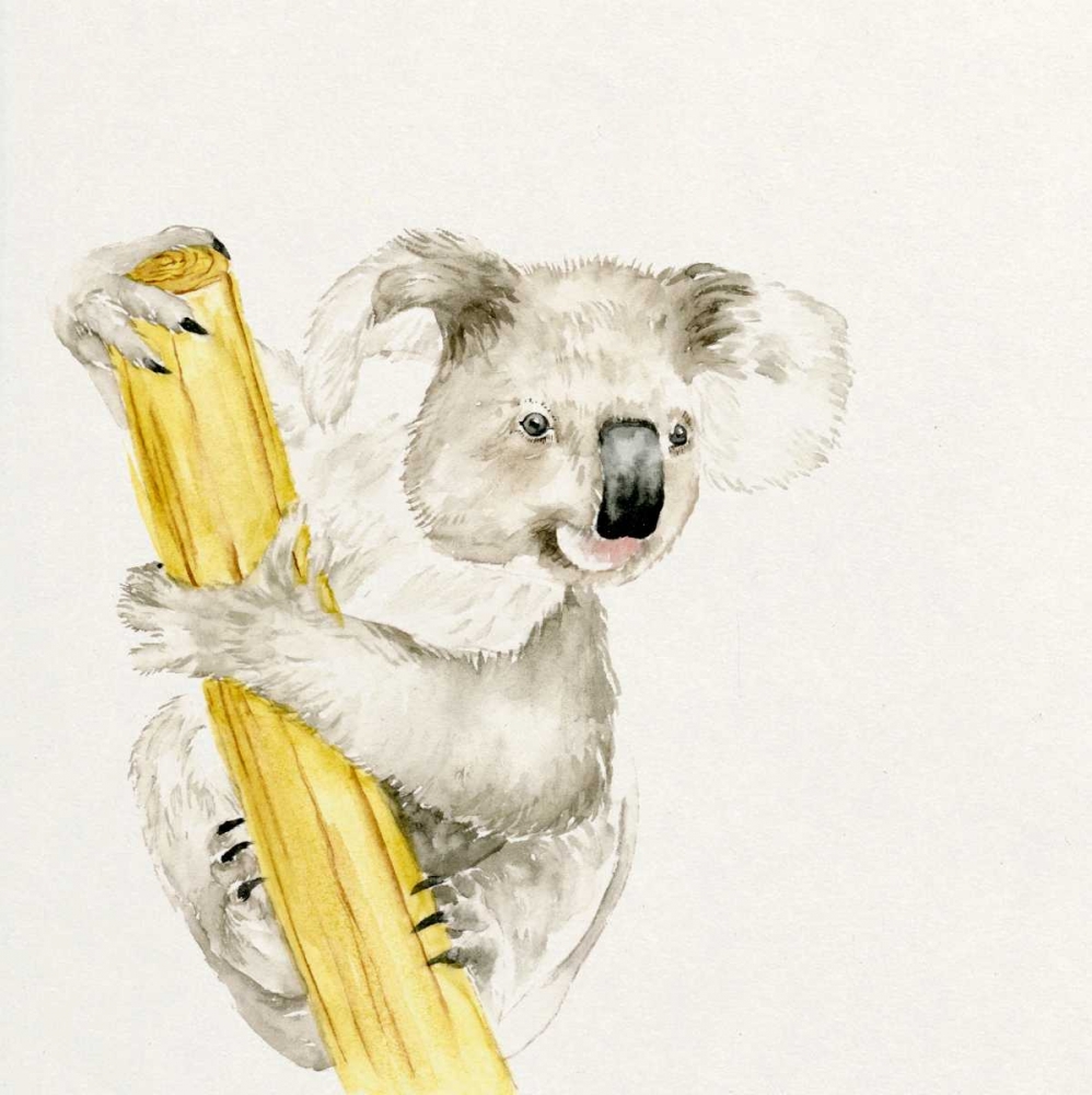 Art Print: Baby Koala II