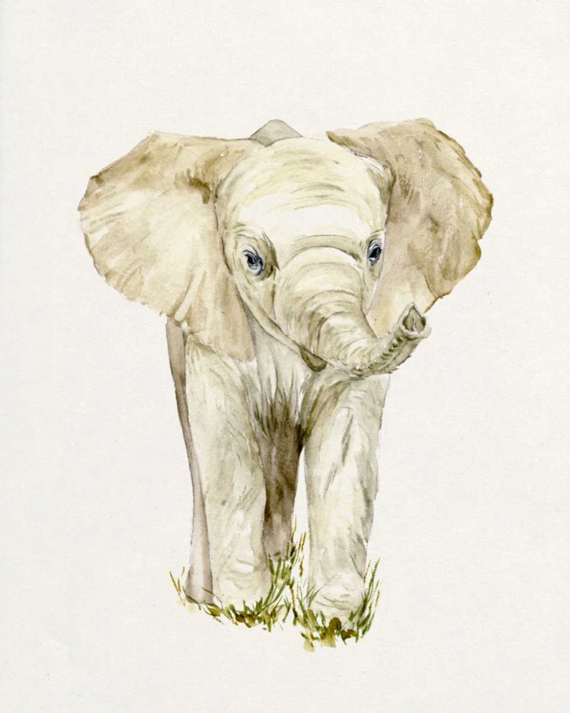 Art Print: Baby Elephant II