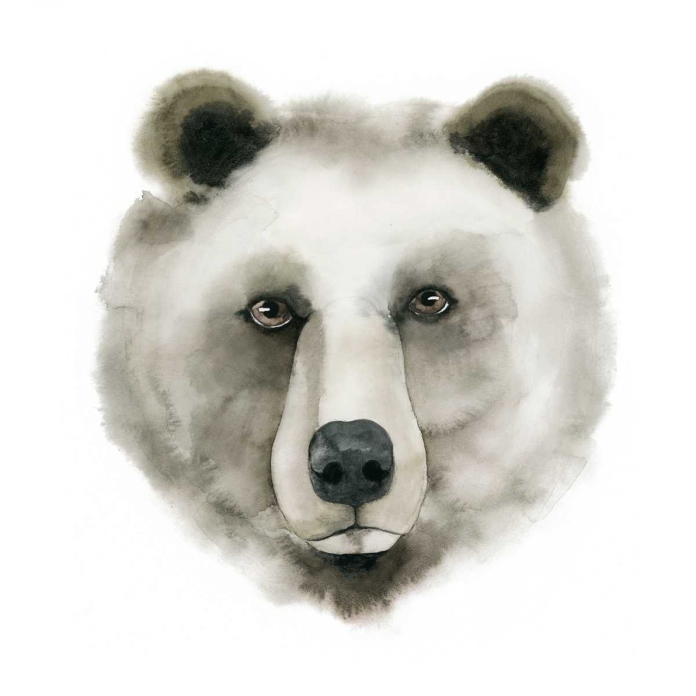 Wall Art Painting id:155152, Name: Watercolor Bear, Artist: Popp, Grace