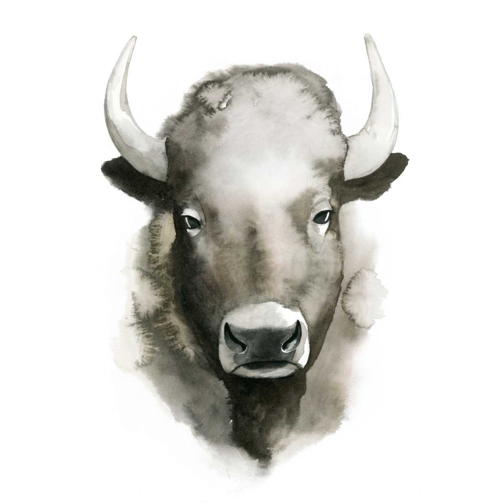 Wall Art Painting id:155153, Name: Watercolor Buffalo, Artist: Popp, Grace