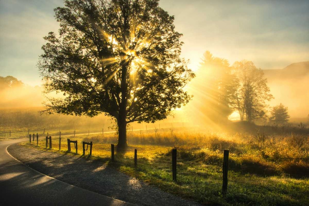 Wall art: Wake Up Call, by Head, Danny