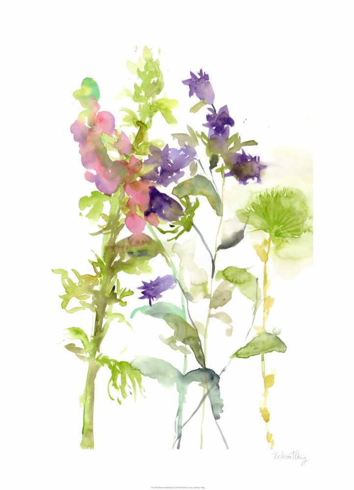 Wall Art Painting id:155684, Name: Watercolor Floral Study I, Artist: Wang, Melissa