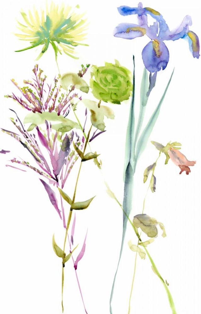 Wall Art Painting id:155685, Name: Watercolor Floral Study II, Artist: Wang, Melissa