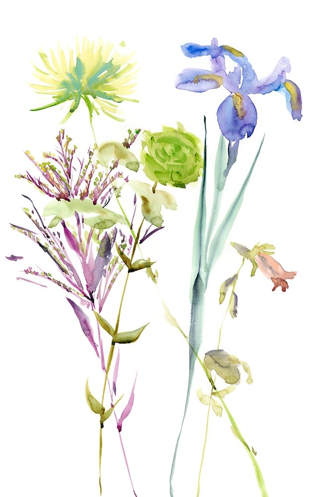 Wall Art Painting id:240123, Name: Watercolor Floral Study II, Artist: Wang, Melissa