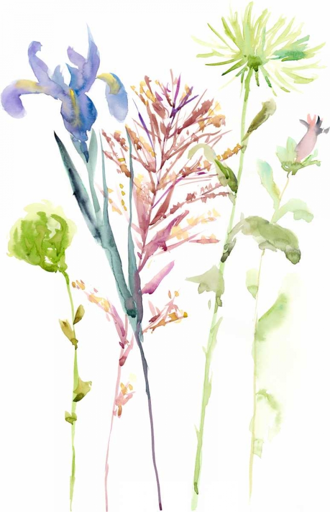 Art Print: Watercolor Floral Study III