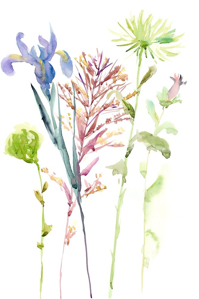 Wall Art Painting id:240124, Name: Watercolor Floral Study III, Artist: Wang, Melissa
