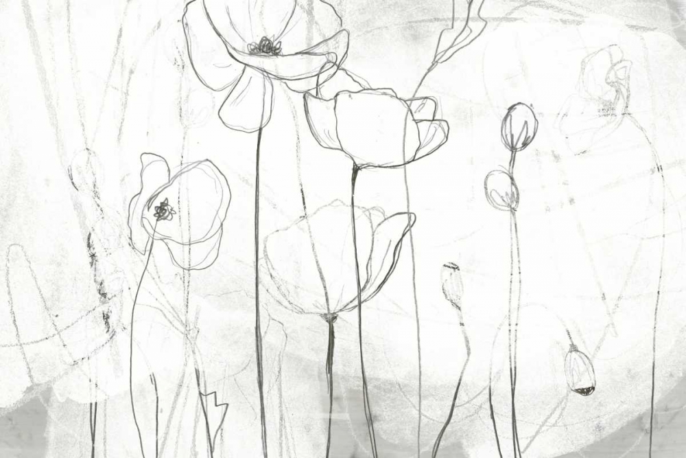 Wall art: Poppy Sketches I, by Vess, June Erica