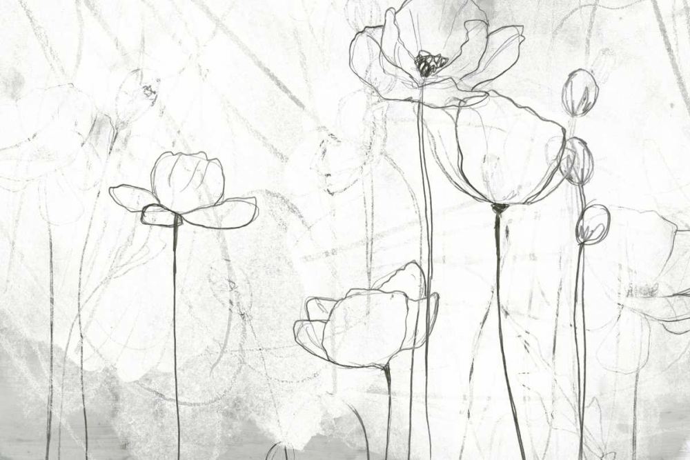 Wall art: Poppy Sketches II, by Vess, June Erica