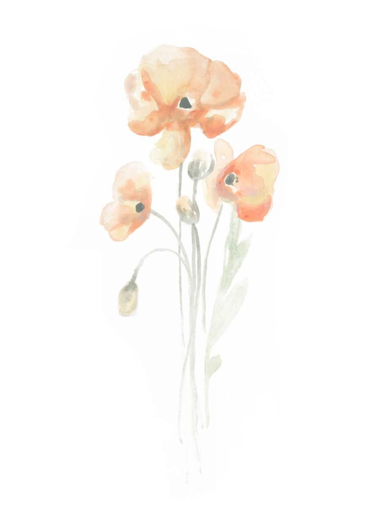 Art Print: Delicate Bouquet I